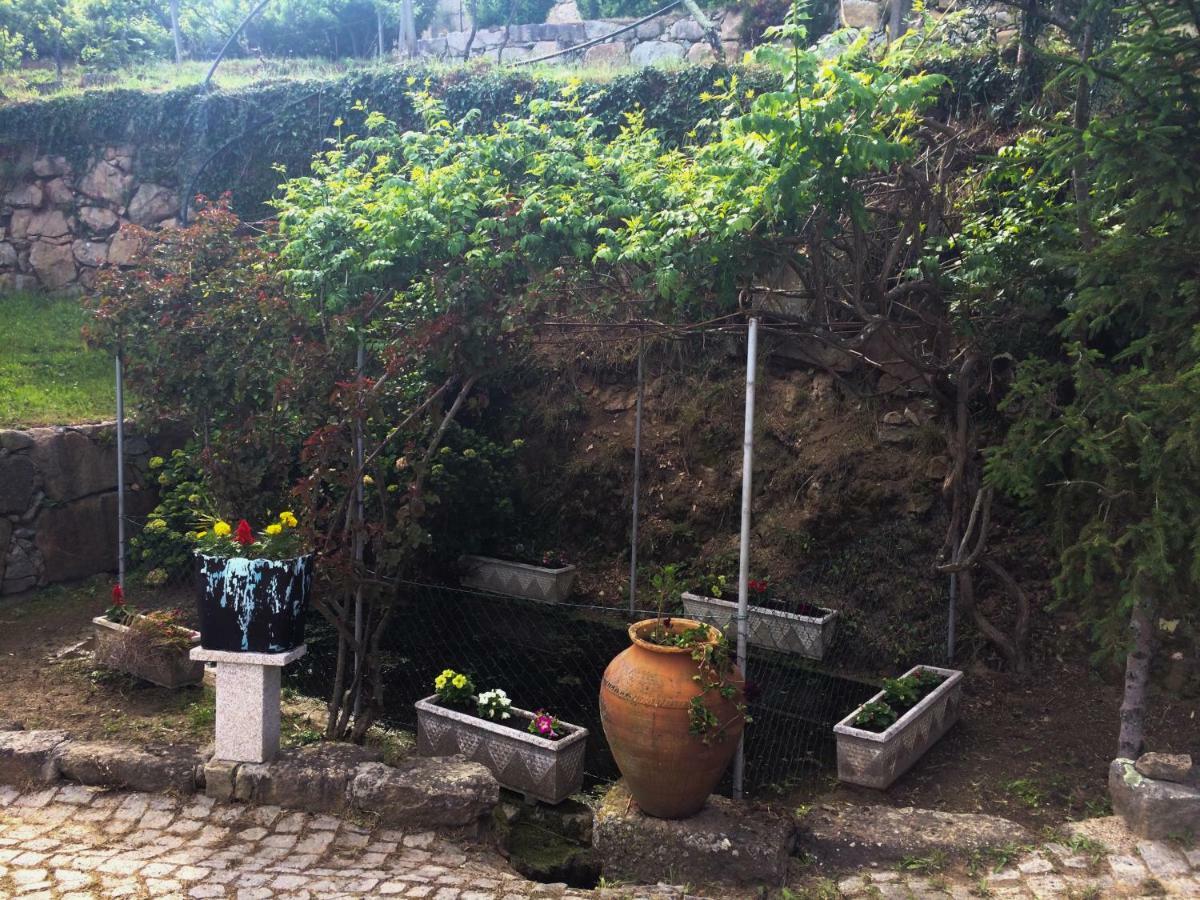 Quinta De Catapeixe Douro River Magrelos Exterior foto